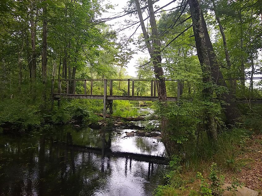 Thunder Swamp Trail in northeastern Pennsylvania