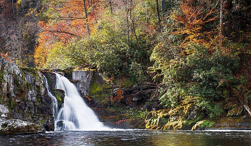 Great Smoky Mountains National Park - Autumn Colors at Abrams Falls Waterfall