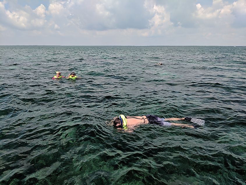 People snorkeling in the Biscayne National Park