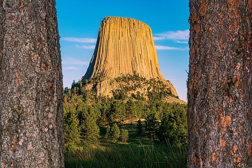  Devils Tower National Monument near Hulett, Wyoming.