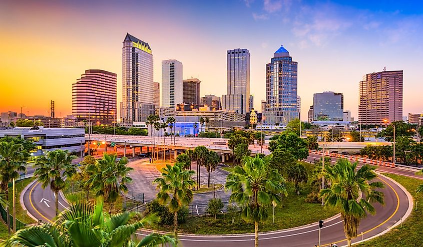 Palm trees Tampa, Florida, US downtown skyline