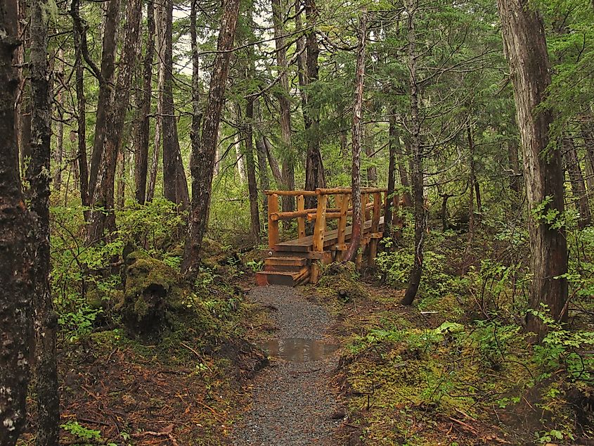 Beaver Lake Trail, Alaska.