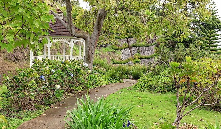Kula Botanical Garden in Maui