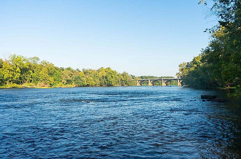 River view with bridge in the distance, Columbia, SC.