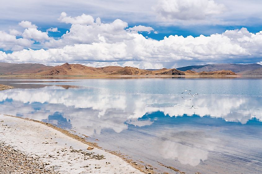 A lone bird swims in the still waters of Yamdrok Lake, reflecting the sky and mountains in Tibet, China.