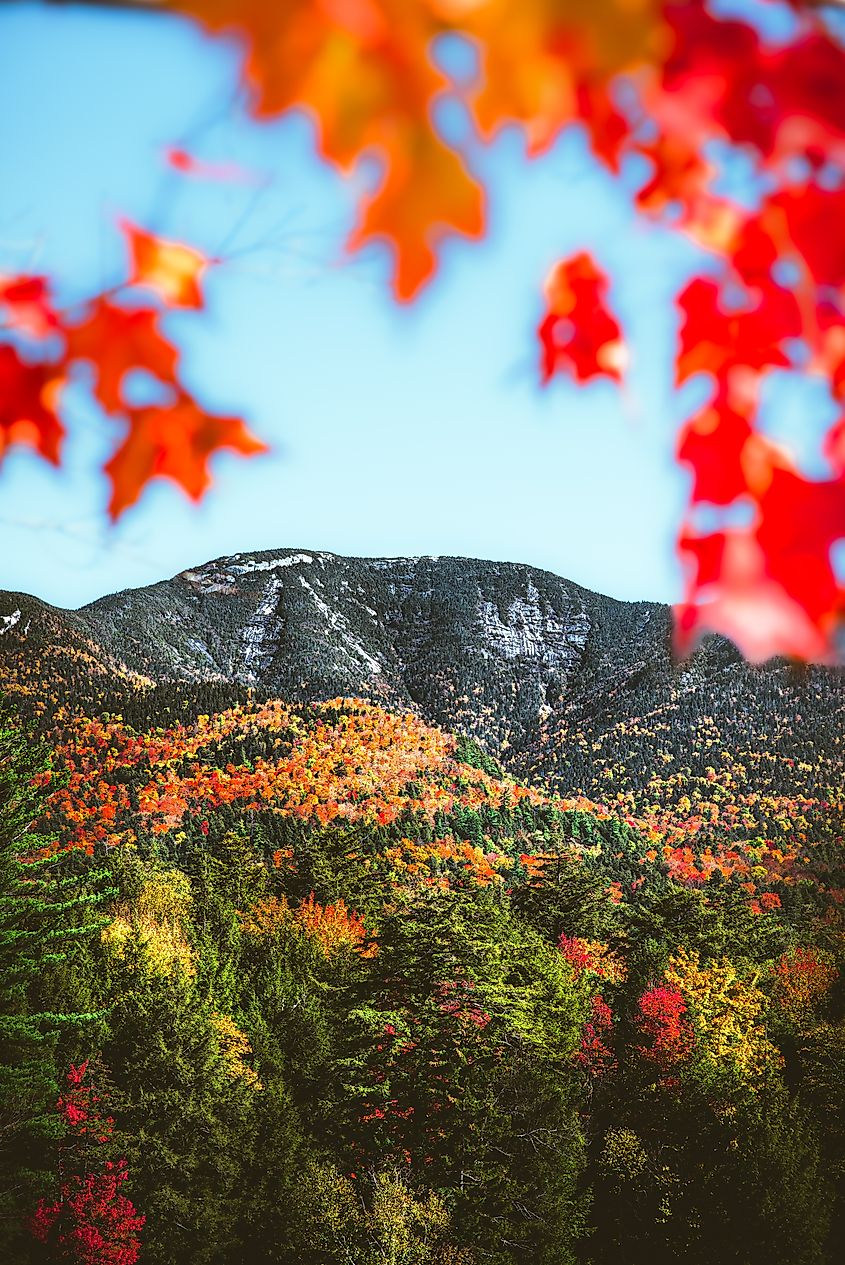 Giant mountain in the Adirondacks. Via Shutterstock / Mountain Man Photos