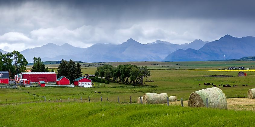 Hay bales and barns at Pincher Creek, Southern Alberta, Alberta, Canada.