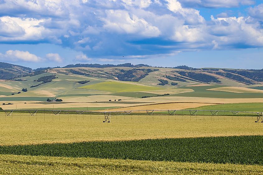 Blue mountains in Walla Walla, Washington