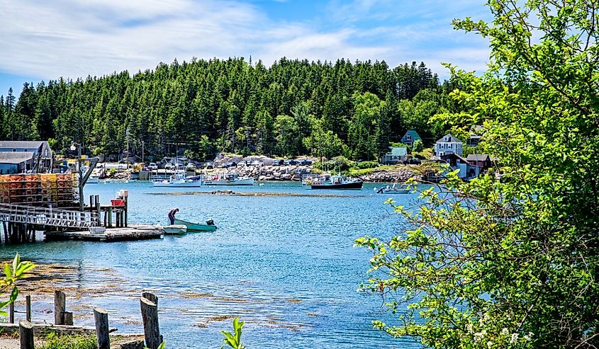 Old Fisherman in Stonington, Maine