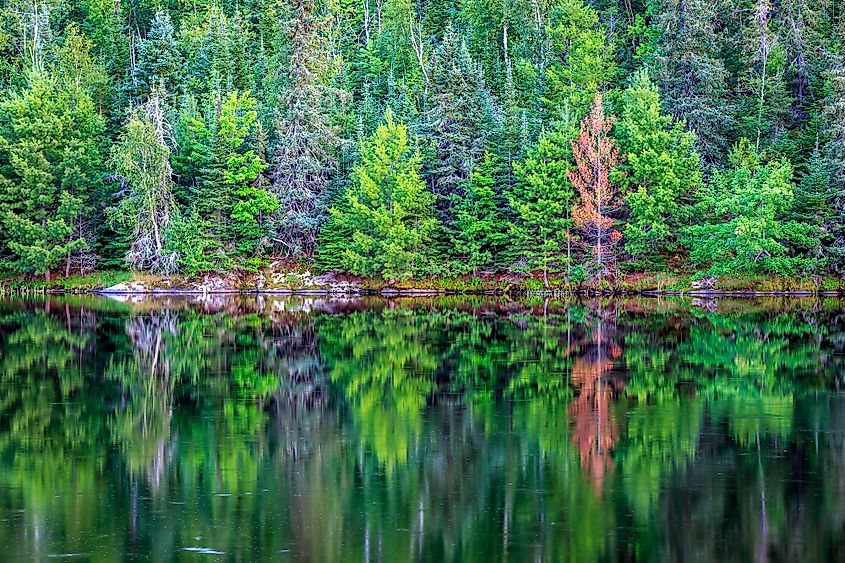 Voyageurs National Park