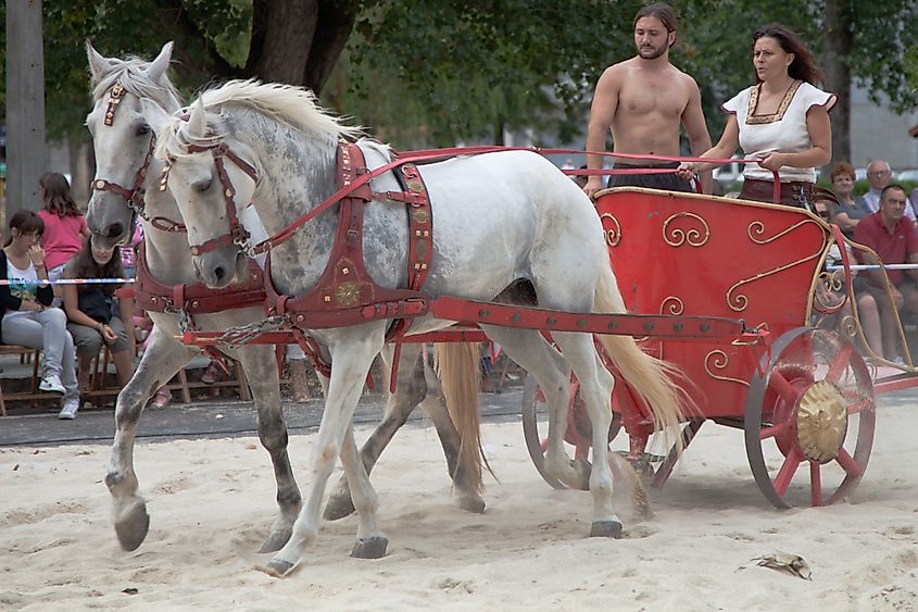 A reconstructed Roman chariot drawn by horses.