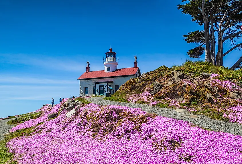 Foreground view of the Battery Point Lighthouse in Crescent City, California.