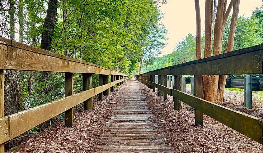 Boardwalk leading to Lake Miccosukee