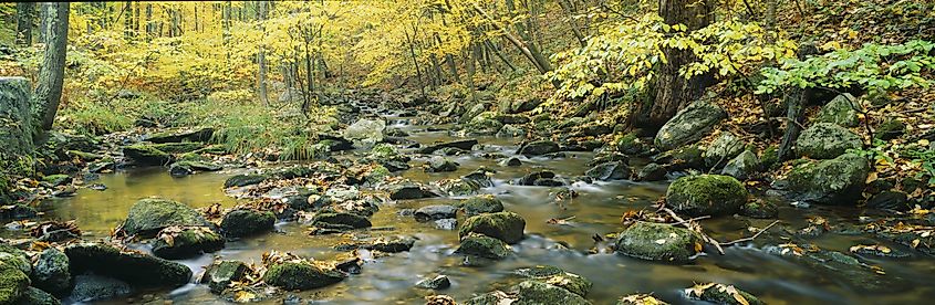 Macedonia Brook State Park, Connecticut.