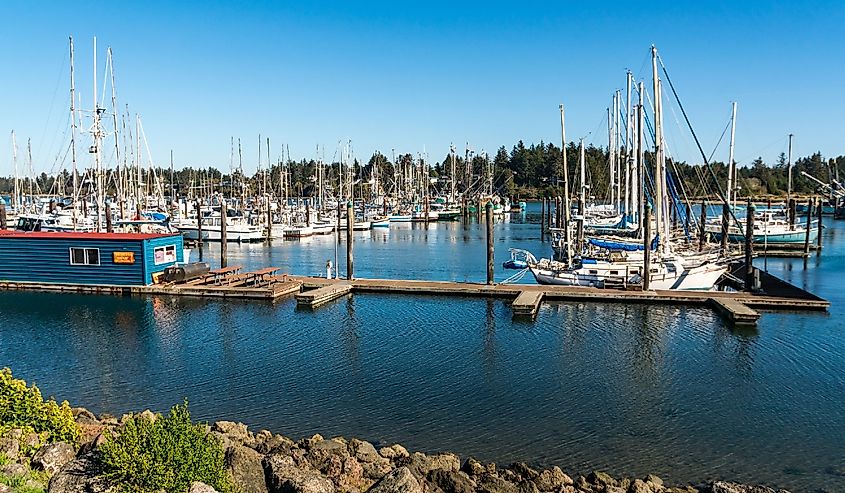 Marina in Coos Bay Oregon.