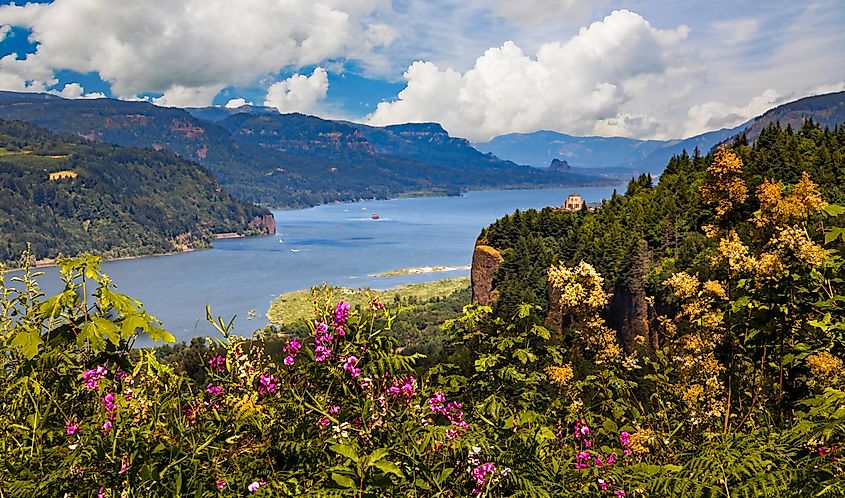 The Columbia River at the Columbia River Gorge National Scenic Area, Oregon.