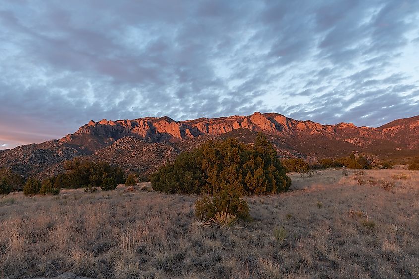 Sandia Mountains at sunset.