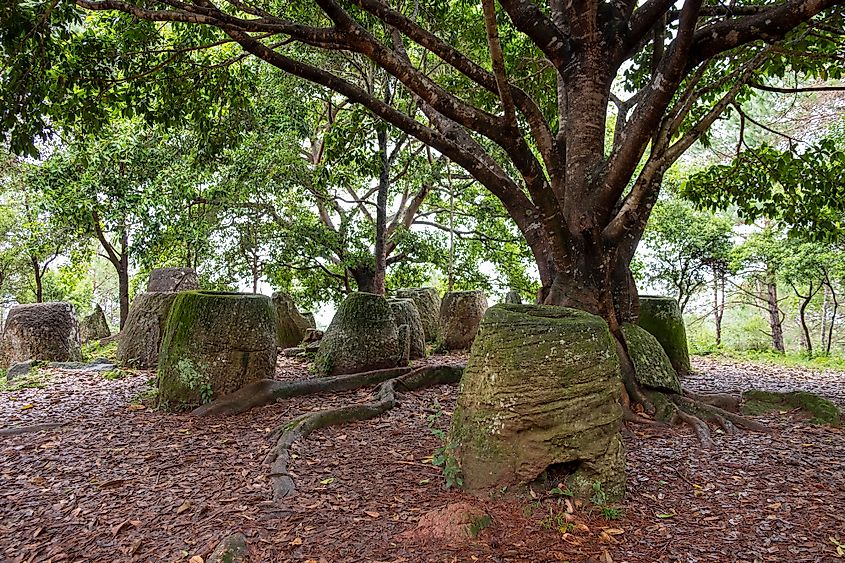 Plain of Jars