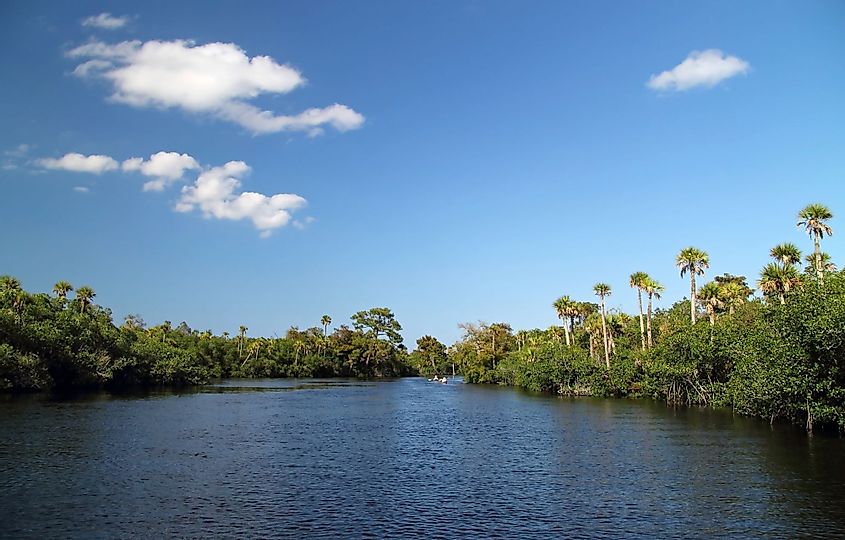 The scenic Loxahatchee River in South Florida