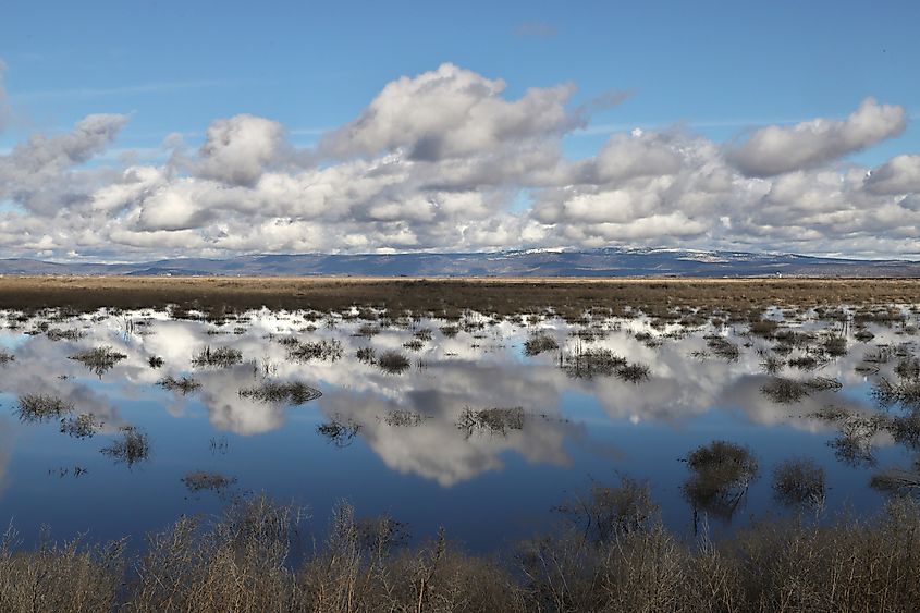 Typical landscape at Tule Lake National Wildlife Refuge, California
