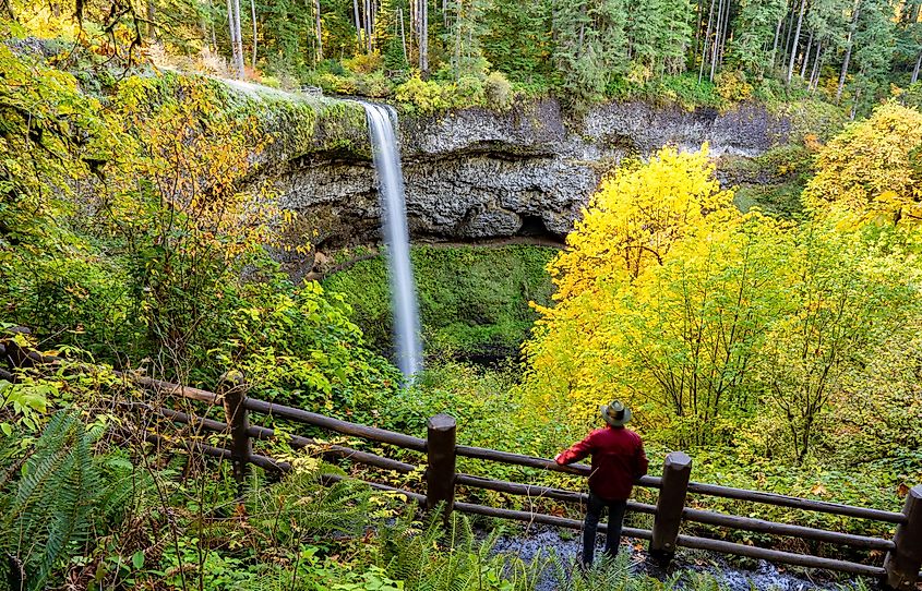  fall colors, in Silver Falls State Park near Silverton, Oregon