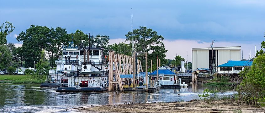 Barges docked at the Demopolis Yacht Basin on the Tombigbee River.