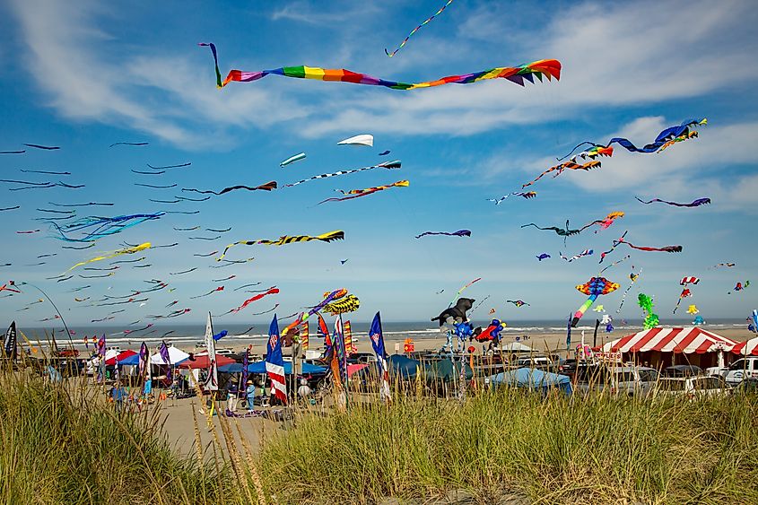 Washington State International Kite Festival at Long Beach.