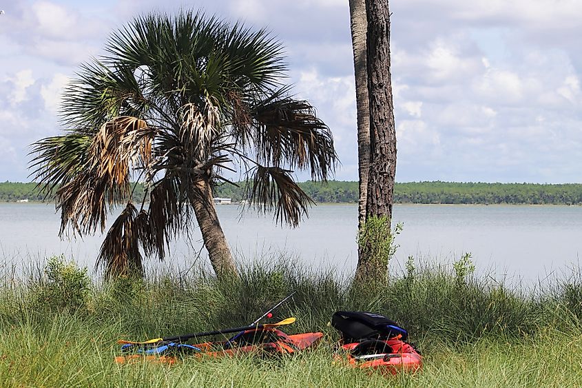 St. Vincent Island in Florida