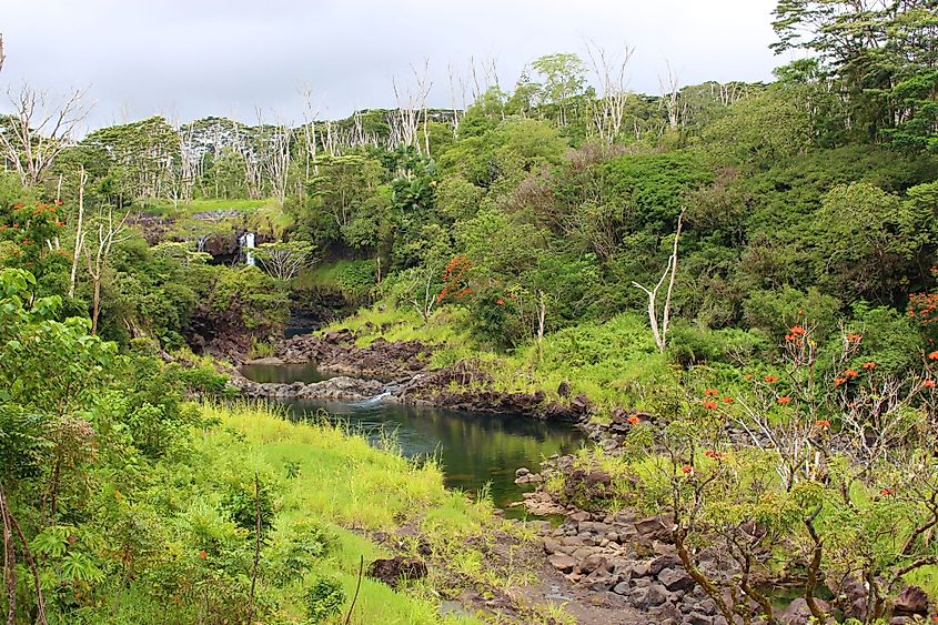 Wailuku River/Boiling Pots and a view of Peepee Falls