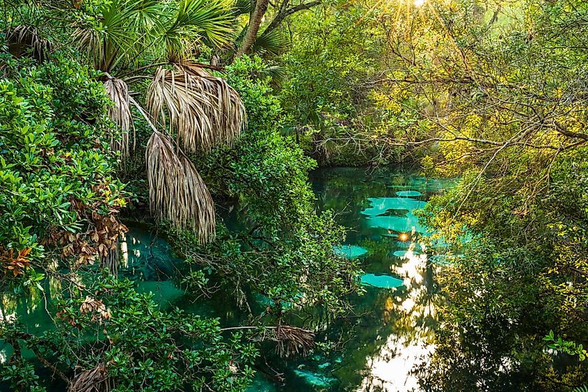 Juniper Springs in South Florida, USA