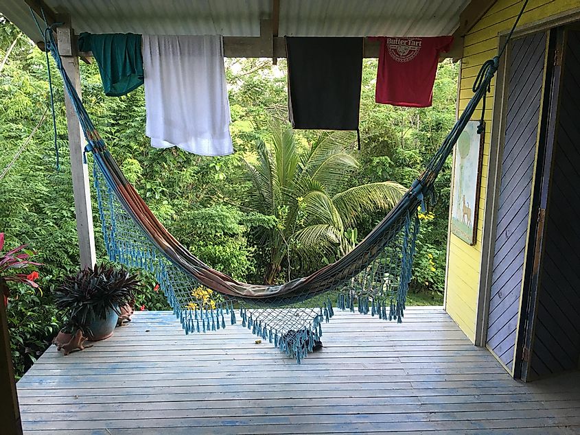 T-shirts hang to dry over a porch hammock, overlooking jungle foliage 