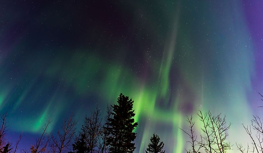 Northern lights in Alberta Canada