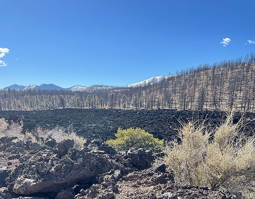 Sunset Crater Volcano National Monument, Arizona 