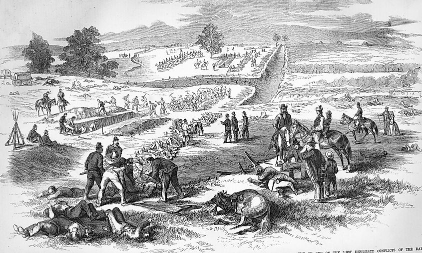 An illustration of the war dead following the Battle of Antietam battlefield in 1862