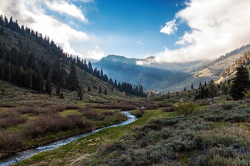 A landscape view from Mineral King Road in Sequoia National Park
