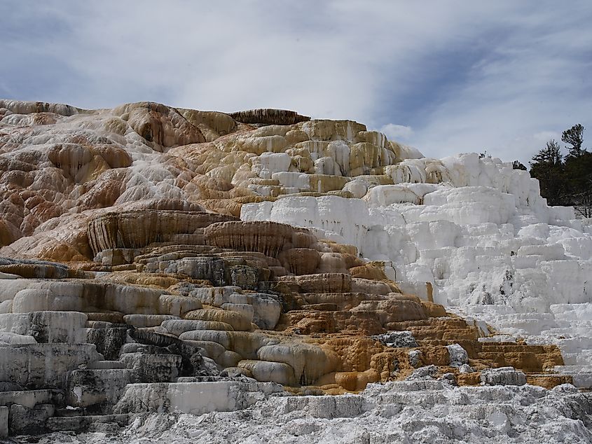 The travertine terraces of Mammoth Hot Springs in Yellowstone National Park.