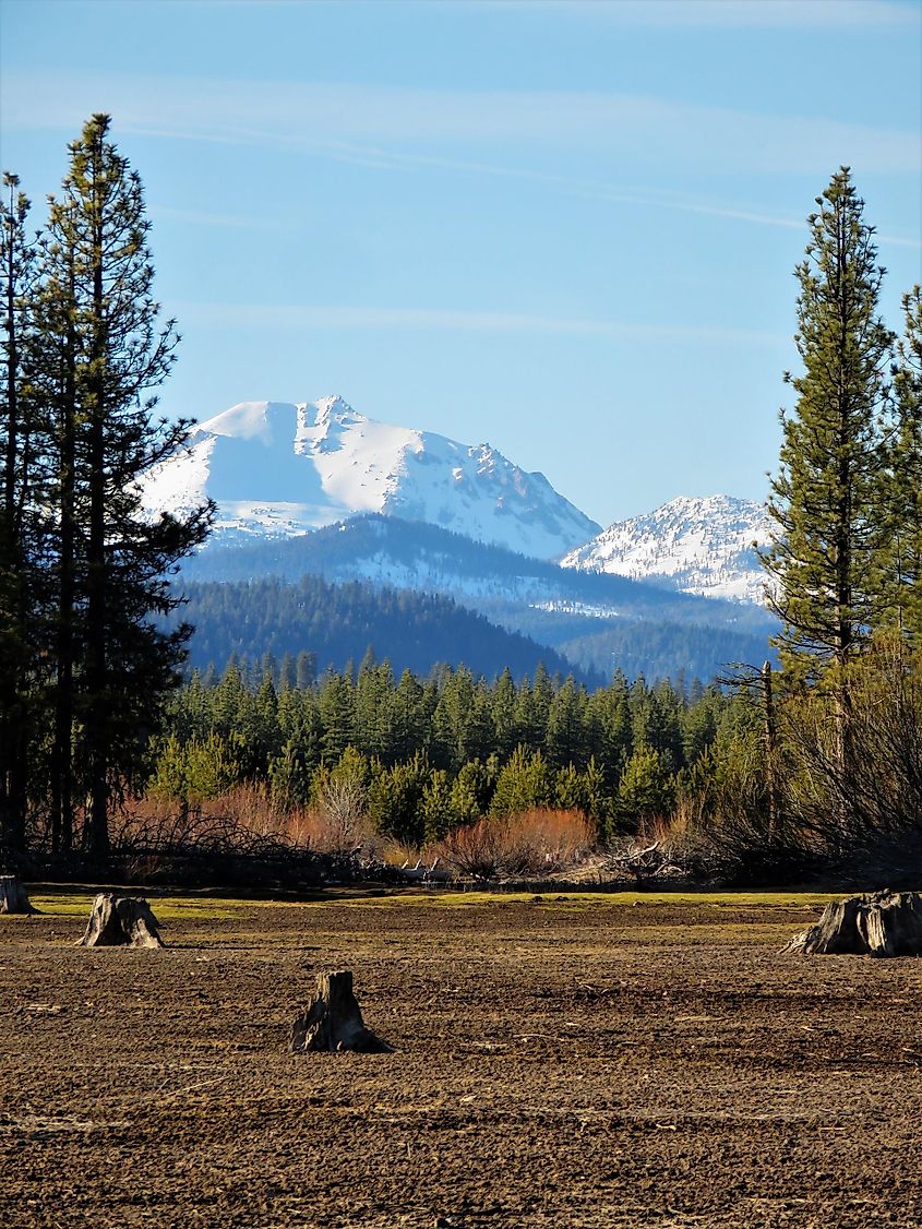 Lassen Peak (Mount Lassen) from Lake Almanor's meadow near Chester.