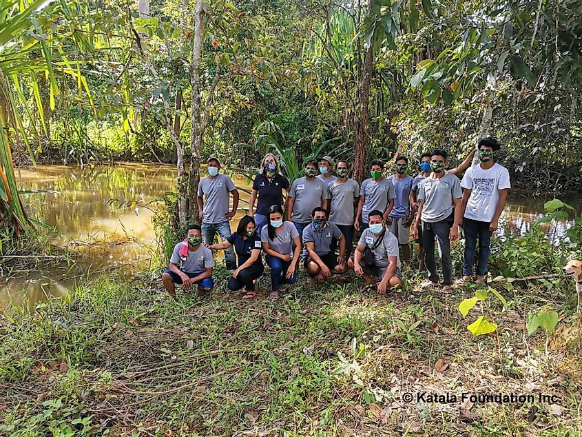 Philippine forest turtle conservation