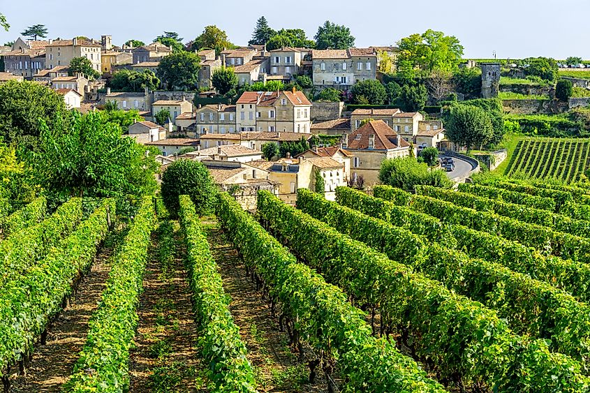 Vineyards of Saint-Émilion, France.