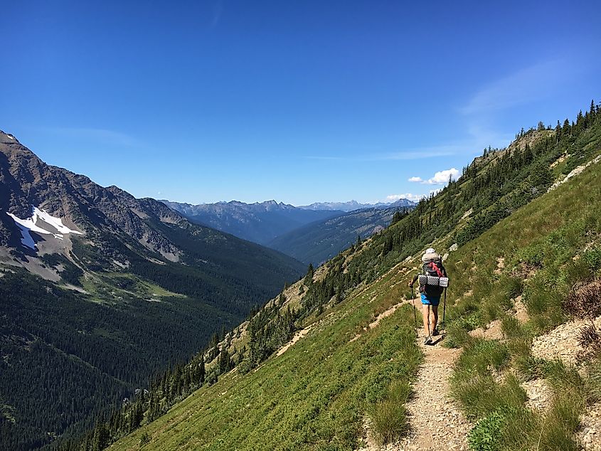 On the Pacific Crest Trail