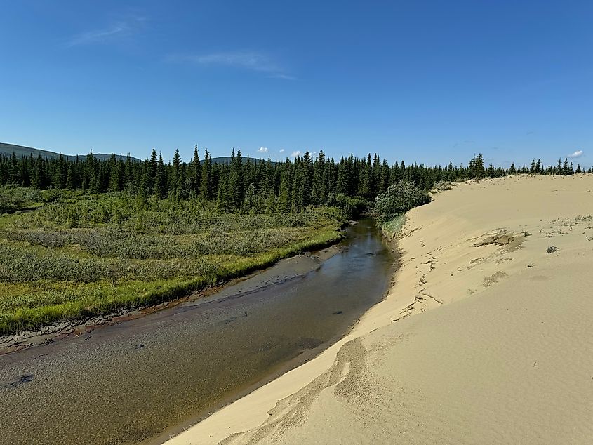 Sand dunes blending into forests in Kobuk Valley National Park in Alaska.