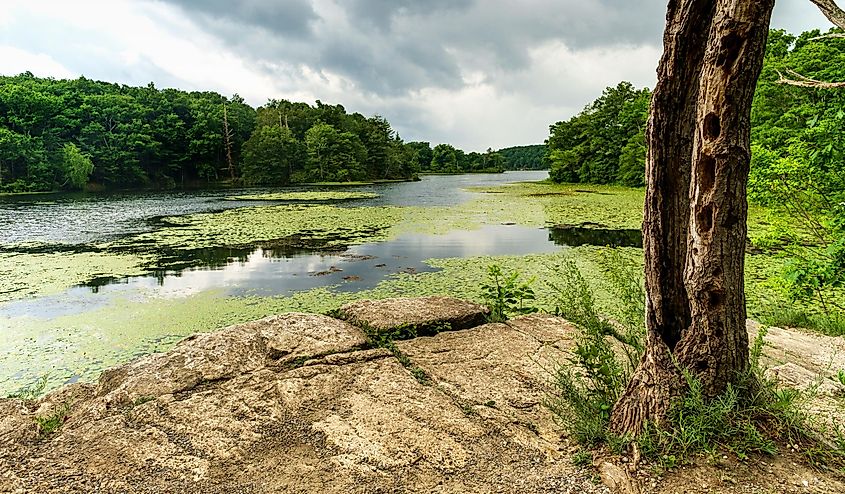 Beautiful summer view of the lake at Wawayanda