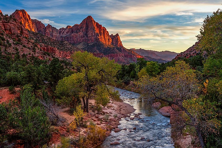 View of the Watchman mountain and the virgin river in Zion National Park located in the Southwestern United States, near Springdale, Utah.