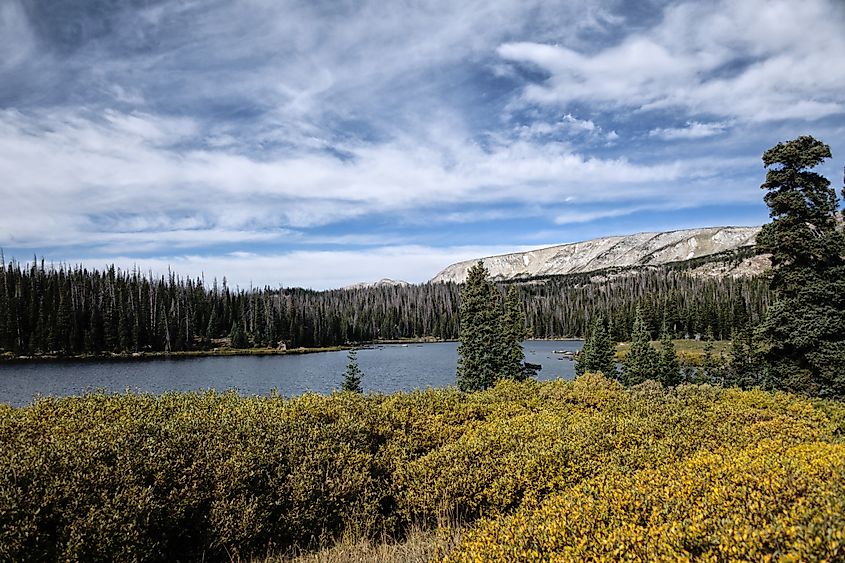 Brooklyn Lake, Wyoming