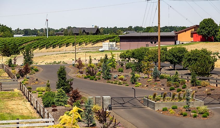 Wine country in Walla Walla, Washington