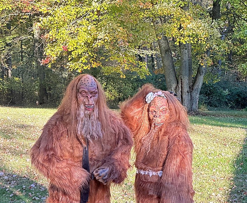 People dressed as Bigfoot.