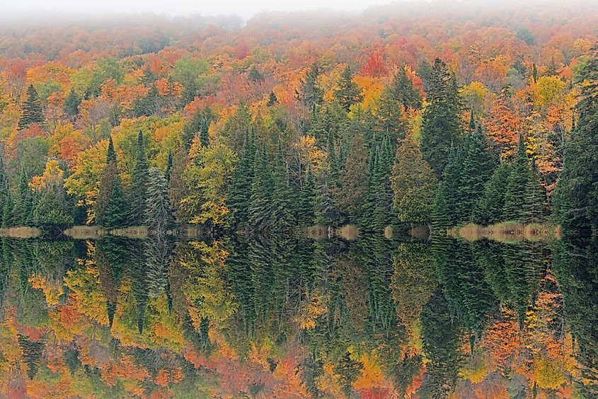 Ottowa National Forest