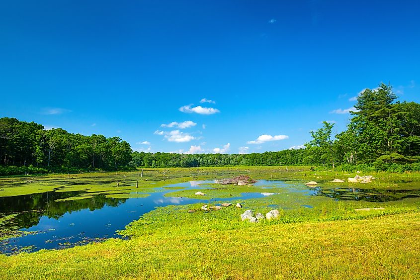 Brilliant summer day on the shores of Pine Acres Pond in the Goodwin State Forest of Chaplin, Connecticut