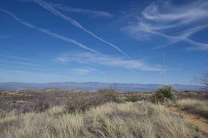 Oracle State Park Arizona horizon. 