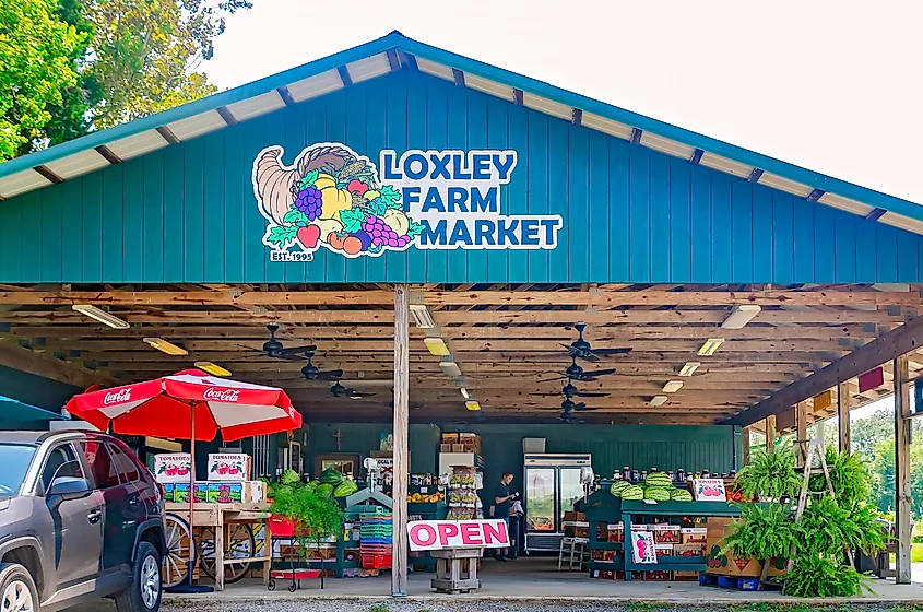 Loxley Farm Market in Loxley Alabama